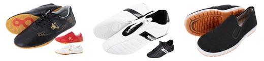 Tai chi shoes