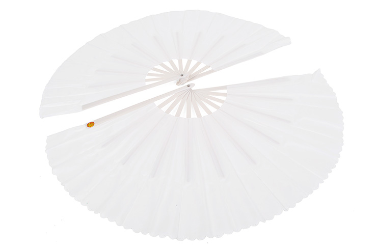 Duplo Ventilador Tai Chi (Tai Ji Shan), Estilo Mulan