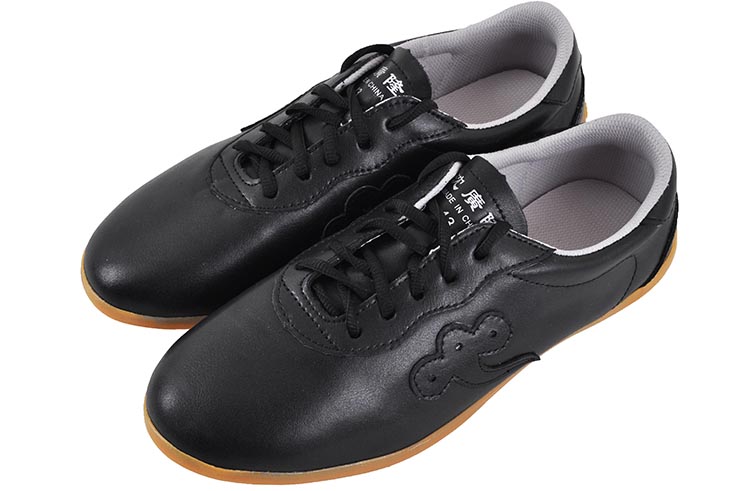 Qiankun Tai Ji Shoes