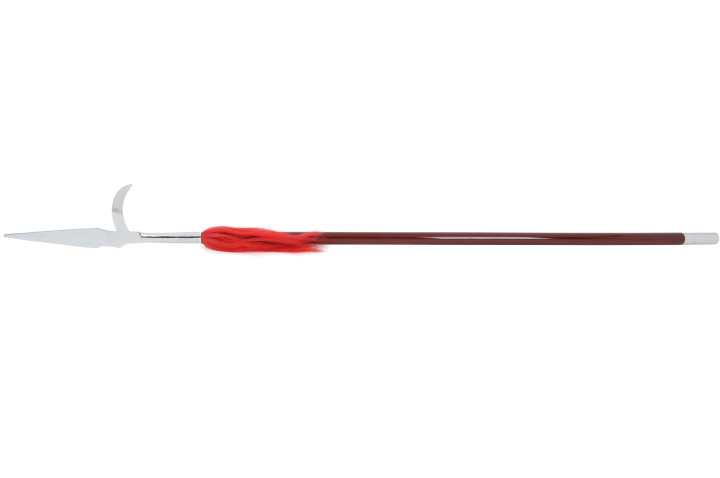 Hooked Spear