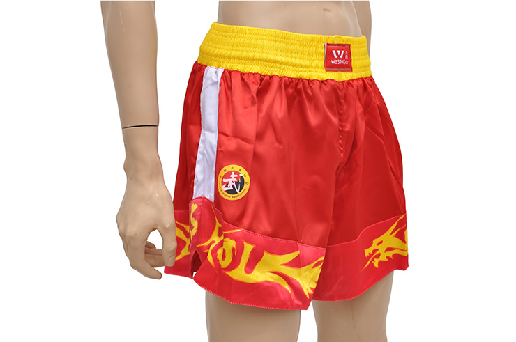 Tenue Sanda Boxe Chinoise Homme - Dragon, Wesing