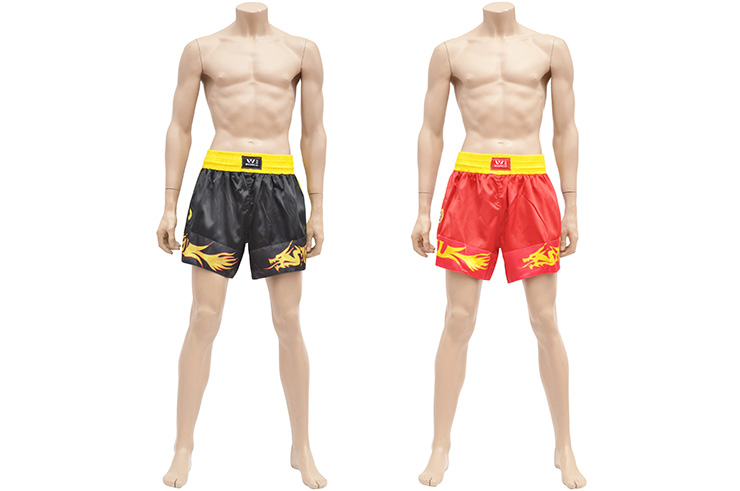 Tenue Sanda Boxe Chinoise Homme - Dragon, Wesing