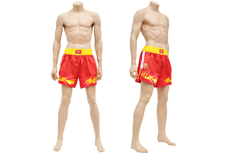 Tenue Sanda Boxe Chinoise Homme - Dragon, Wesing