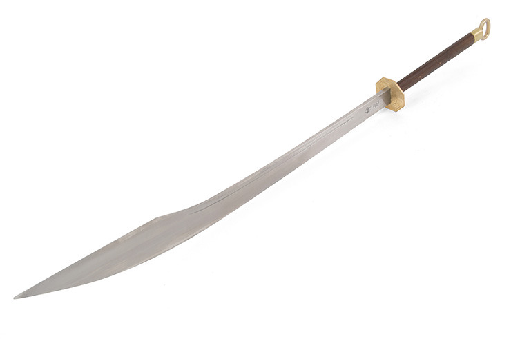 Bagua Sword Qiankun - Rigid