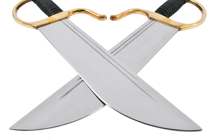 Yong Chun Quan Butterfly Knives (Hu Die Dao) - Jian Wang