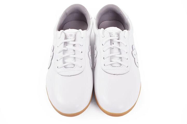 Taiji Shoes, Leather – Qiankun (stained)