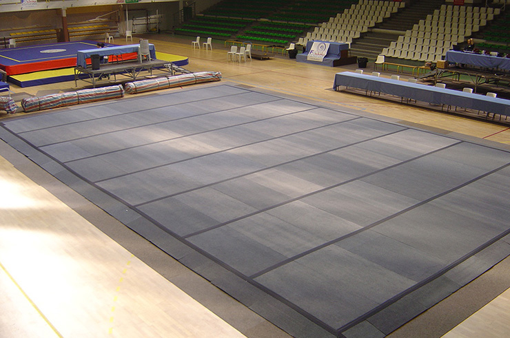 Tapis Moderne de wushu, Wesing