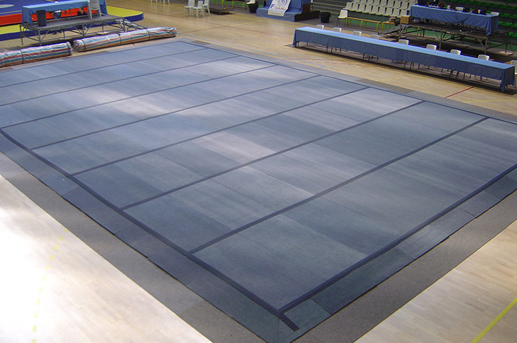 Tapis Moderne de wushu, Wesing