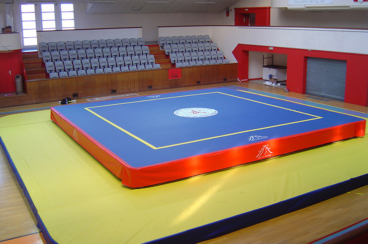 Sanda / Chinese Boxing Area, Wesing