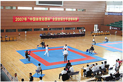 Taekwondo Area, Wesing