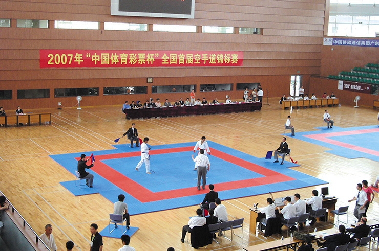 Official Taekwondo Competition Area, Wesing