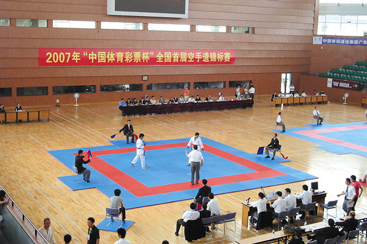 Superficie de Taekwondo, Wesing