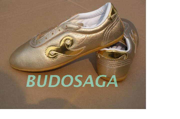 Sapatos Taiji «Budosaga»