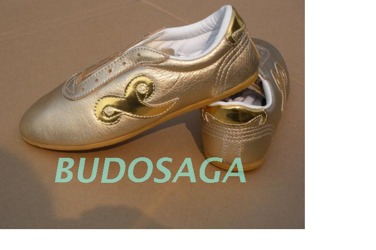 «Budosaga» Taiji Shoes