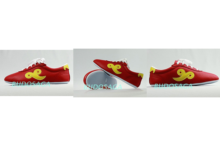 «Budosaga» Wushu Shoes