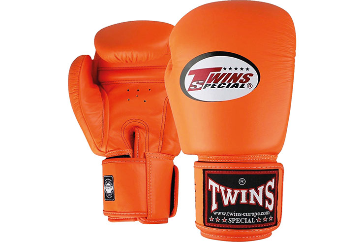 Boxing Gloves, Leather - BGVL3, Twins