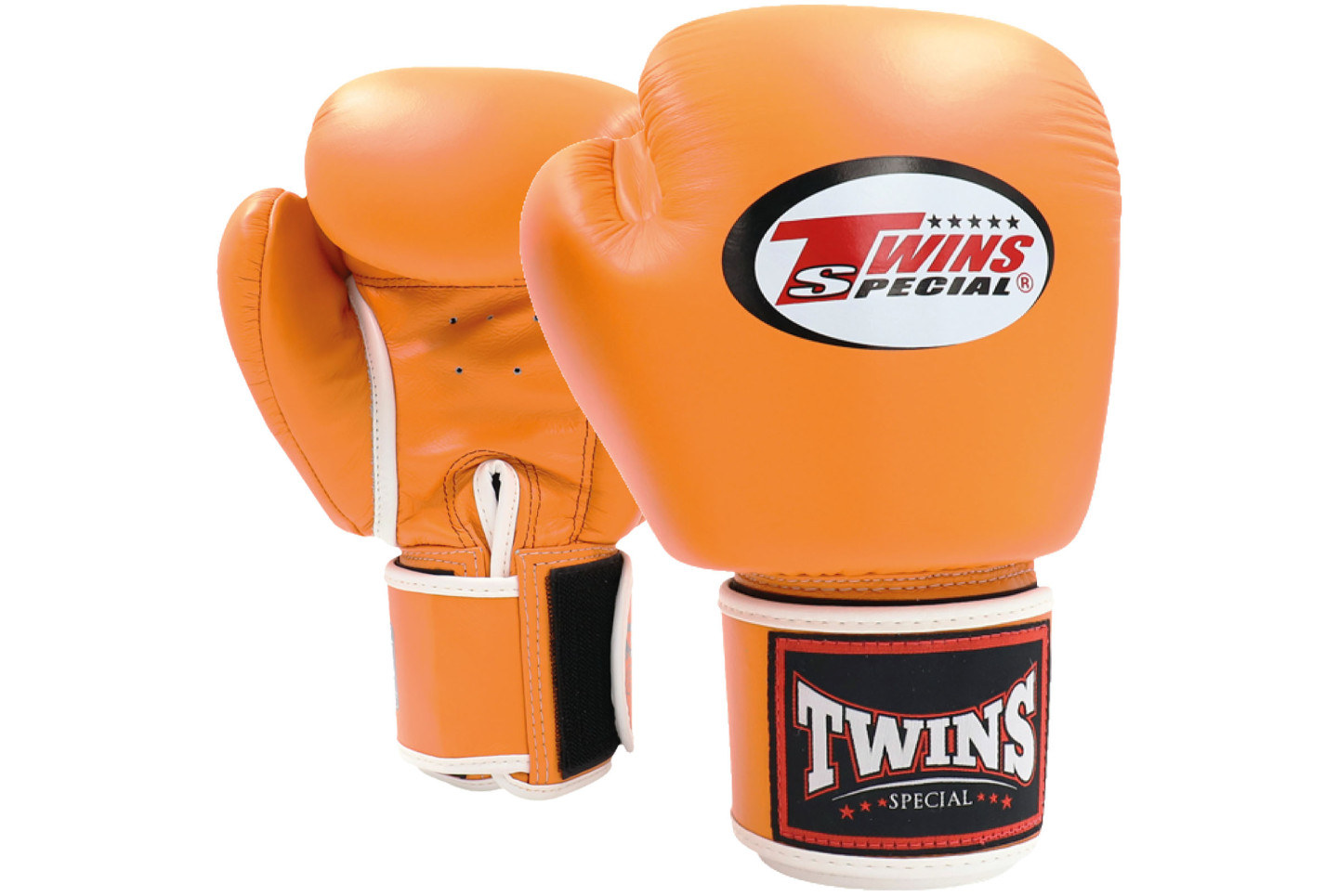 Boxing Gloves, Leather - BGVL3, Twins