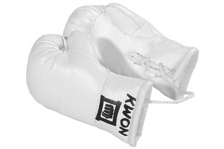 Mini Gants de Boxe - Rétroviseur