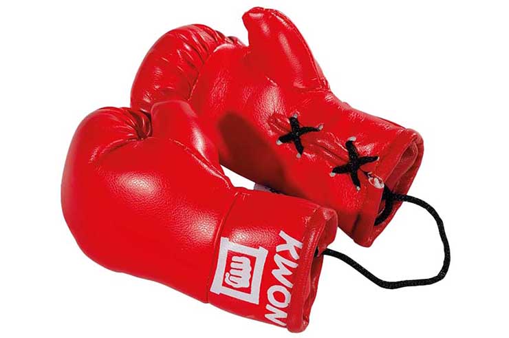 Mini Gants de Boxe - Rétroviseur