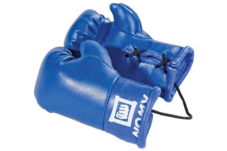 Mini Gants de Boxe - Rétroviseur