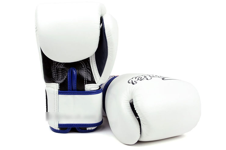 Thai Boxing Gloves, Training - Leather FXV1, Fairtex