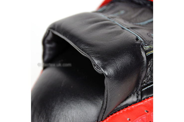 Focus Mitts, Curved, Professionnal - FMV9, Fairtex