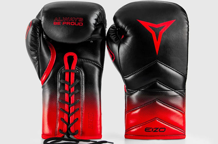 Boxing Gloves, Pro Competition - ECLIPSE, Eizo Boxing
