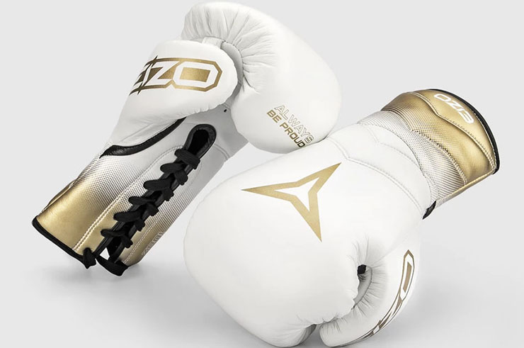 Boxing Gloves, Pro Competition - ECLIPSE, Eizo Boxing