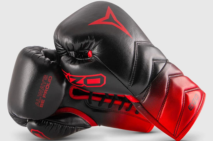 Boxing Gloves, Pro Competition - ECLIPSE, Eizo Boxing
