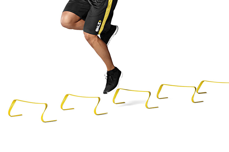 Hurdles x6, SKLZ