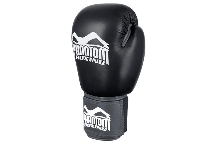 Gants de Boxe & Sparring - Ultra Training, Phantom Athletics