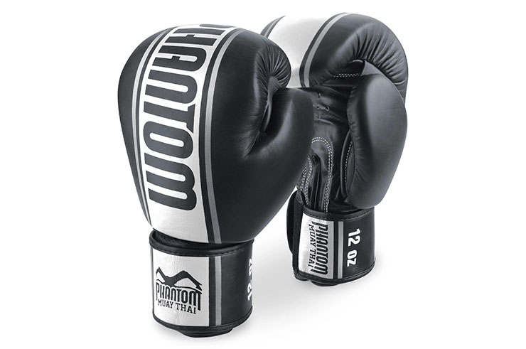 Boxing Gloves - MT-Pro, Phantom Athletics