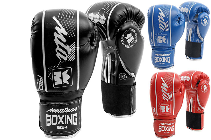 Boxing Gloves Initiation HAWK Montana DragonSports.eu