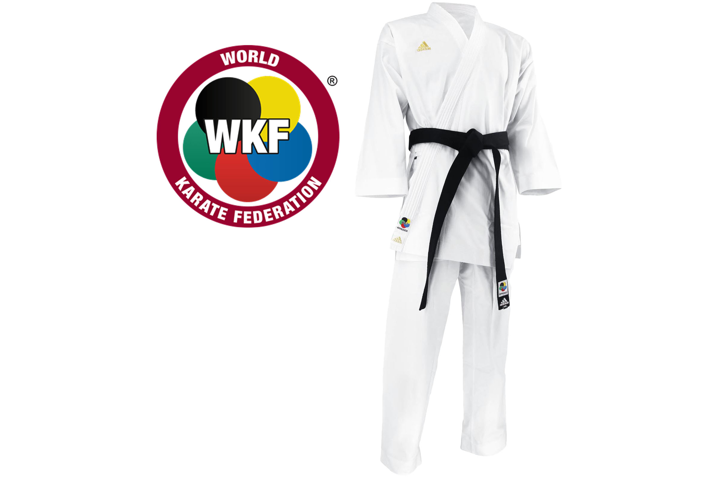 Protège-tibias et pieds de Karaté Hayashi - Bleu - Approuvés WKF – Dragon  Bleu