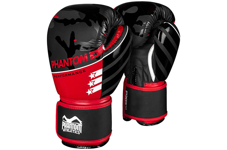 Boxing Gloves - Raider, Phantom Athletics