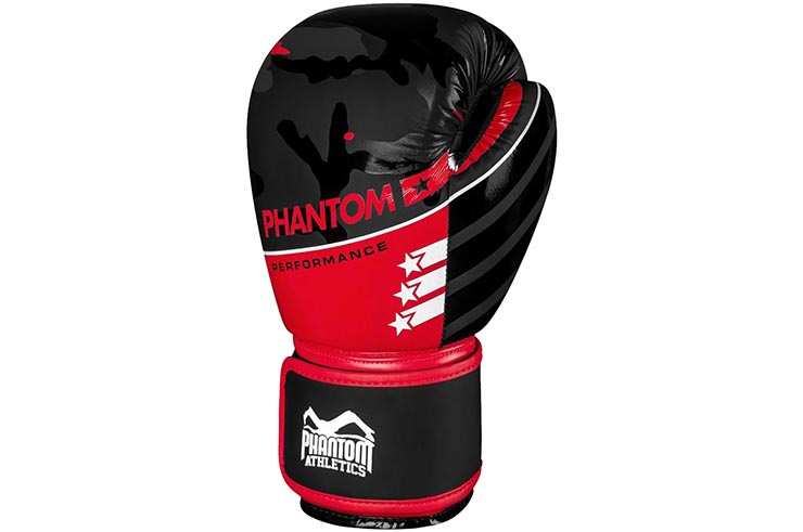 Boxing Gloves - Raider, Phantom Athletics