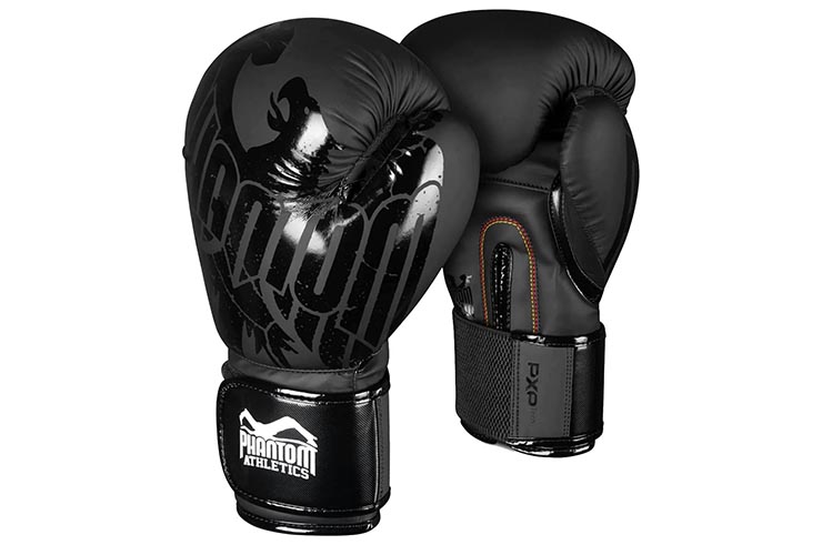 Gants de boxe - Germany, Phantom Athletics