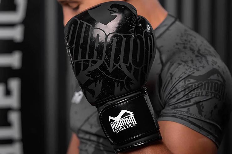 Boxing gloves - Germany, Phantom Athletics