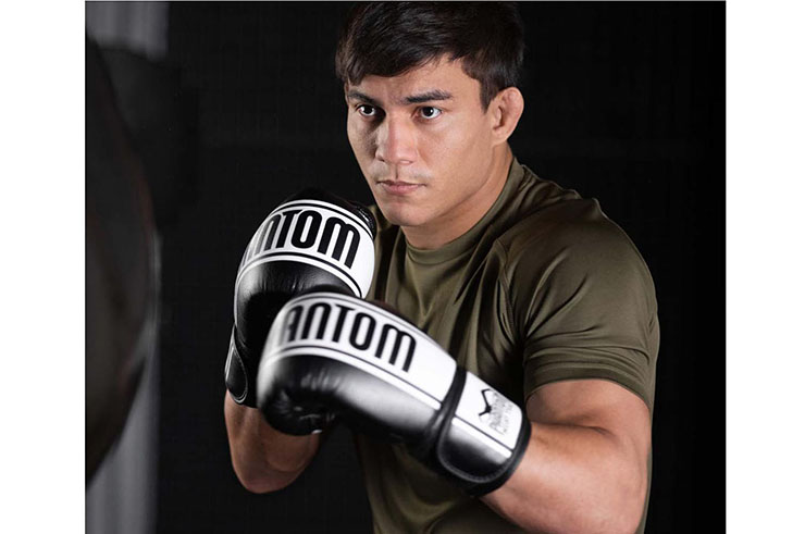 Gants de Boxe, MT-PRO - Blackout Edition, Phantom Athletics