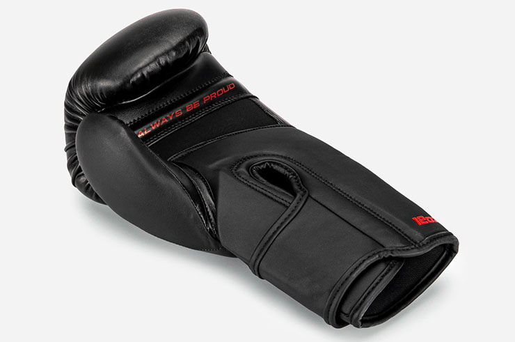 Boxing Gloves - Smart, Eizo Boxing
