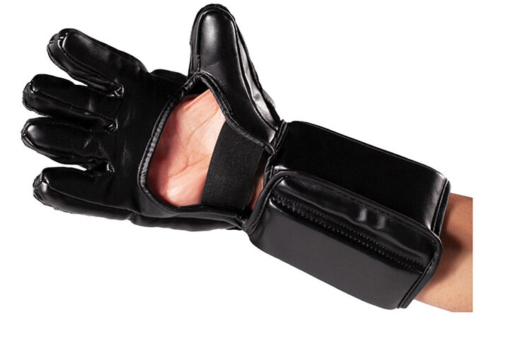 Gants Arnis avec avant-bras - Protection Kali Escrima | ShenLong®