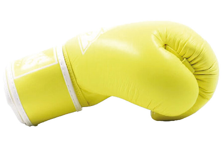 Boxing Gloves, Leather - BGVL 3 Pastel, Twins
