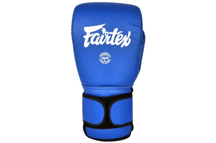 Luvas de professor PRO - BGVL13, Fairtex