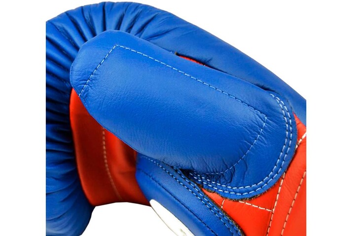 Luvas de professor PRO - BGVL13, Fairtex