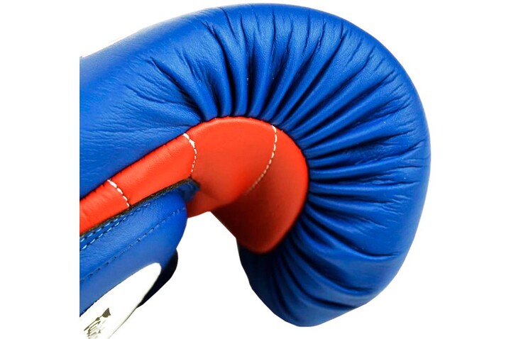 Luvas de professor PRO - BGVL13, Fairtex