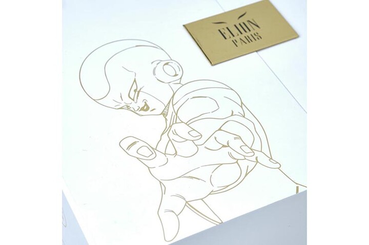 Guantes de boxeo de Colección, Edición limitada Dragon Ball Z - Frieza, Elion Paris