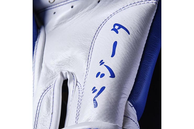 Guantes de boxeo de Colección, Edición limitada Dragon Ball Z - Vegeta, Elion Paris