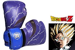 Collector Boxing Gloves, Limited Edition Dragon Ball Z - Gohan, Elion Paris