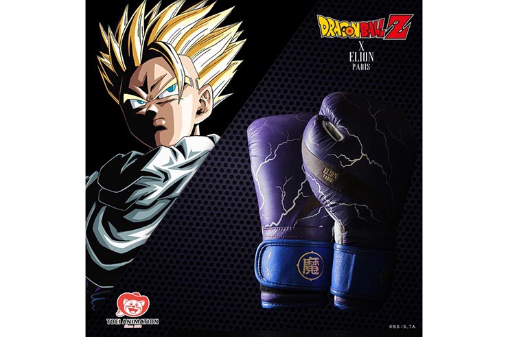 Guantes de boxeo de Colección, Edición limitada Dragon Ball Z - Gohan, Elion Paris