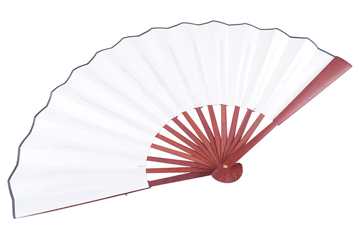 Double Taichi Fan, Illuminated Display